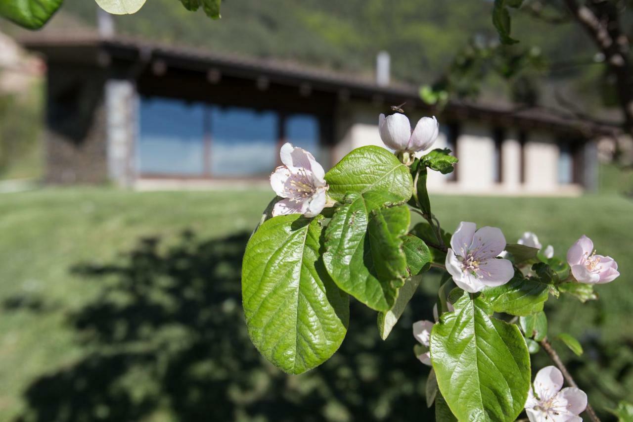Cal Sadurni Villa Bruguera Dış mekan fotoğraf